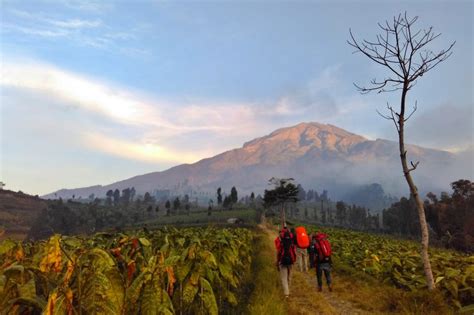 Pendakian Gunung Slamet